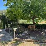 別荘 Vineyard In Massignano