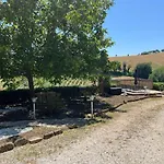 Vineyard In *