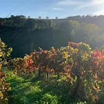 Vineyard In 別荘