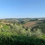 Vineyard In *