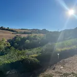 別荘 Vineyard In Massignano