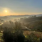Vineyard In