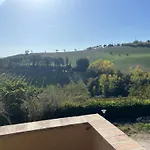 Vineyard In