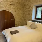 Vineyard In