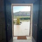 Vineyard In