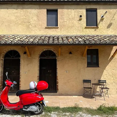 別荘 Vineyard In Massignano