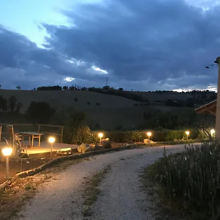 別荘 Vineyard In Massignano
