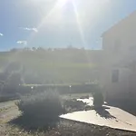 Vineyard In Holiday home