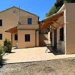 Vineyard In Massignano