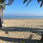 Vineyard In * Massignano