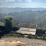 Vineyard In Holiday home *