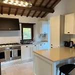 Vineyard In Massignano