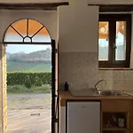 Vineyard In Holiday home *