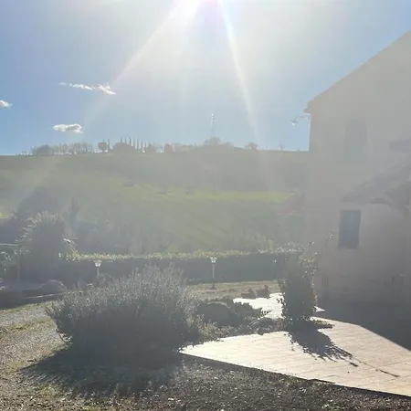 Vineyard In Tatil Evi