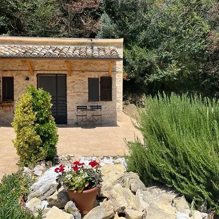 Tatil Evi Vineyard In *