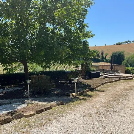 Vineyard In *