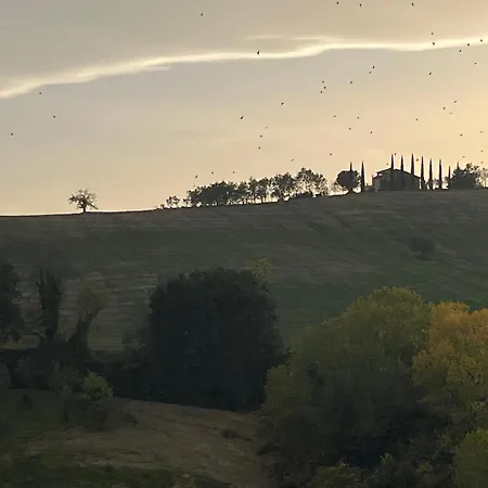 Vineyard In Σπίτι διακοπών Massignano