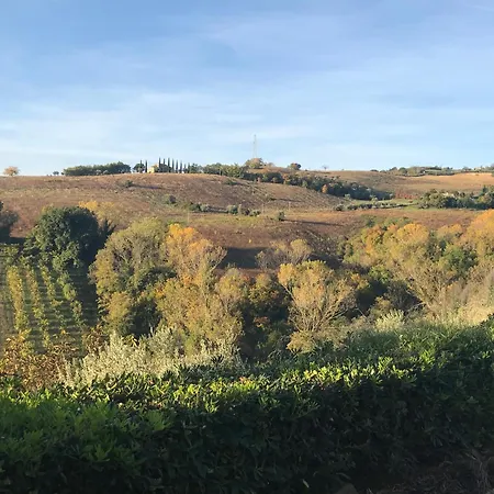 Vineyard In Σπίτι διακοπών