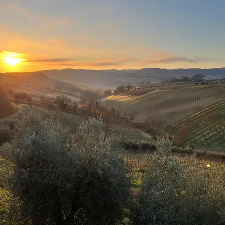 Tatil Evi Vineyard In