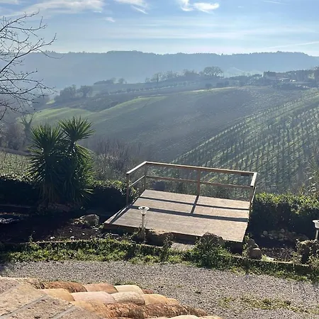 Vineyard In Tatil Evi *