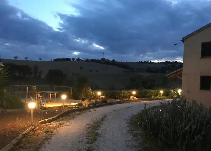 Σπίτι διακοπών Vineyard In Massignano