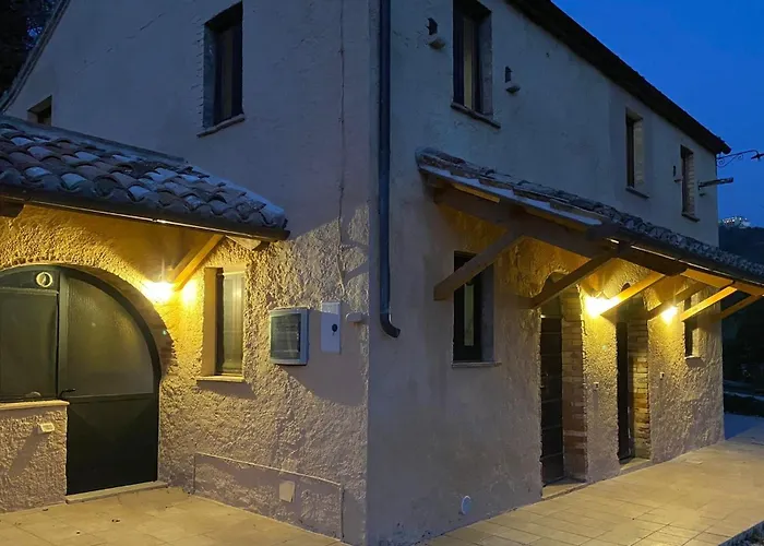 Vineyard In * Massignano