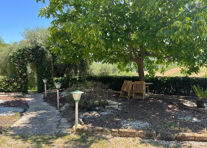 Σπίτι διακοπών Vineyard In Massignano