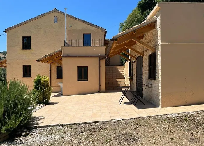 Vineyard In Massignano