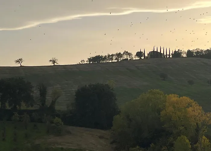 Vineyard In Σπίτι διακοπών Massignano