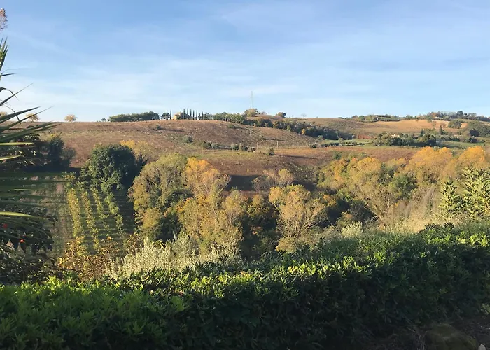 Vineyard In Σπίτι διακοπών