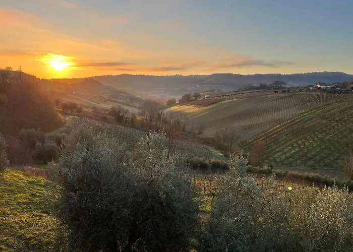 Σπίτι διακοπών Vineyard In