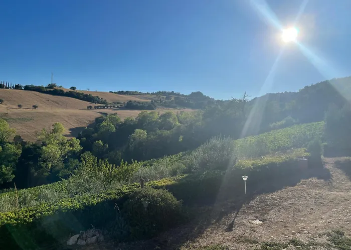Σπίτι διακοπών Vineyard In Massignano
