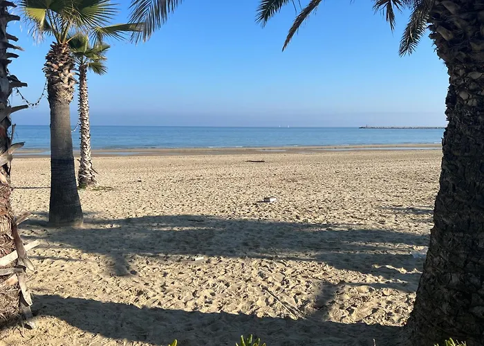 Vineyard In * Massignano