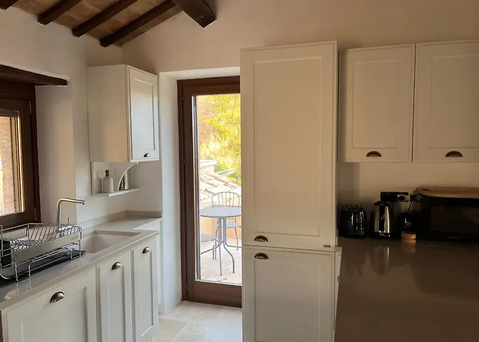 Vineyard In * Massignano