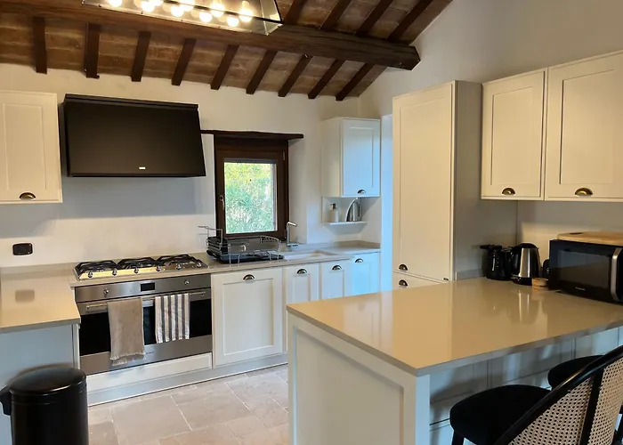 Vineyard In Massignano