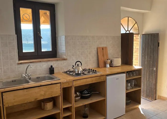 Vineyard In * Massignano